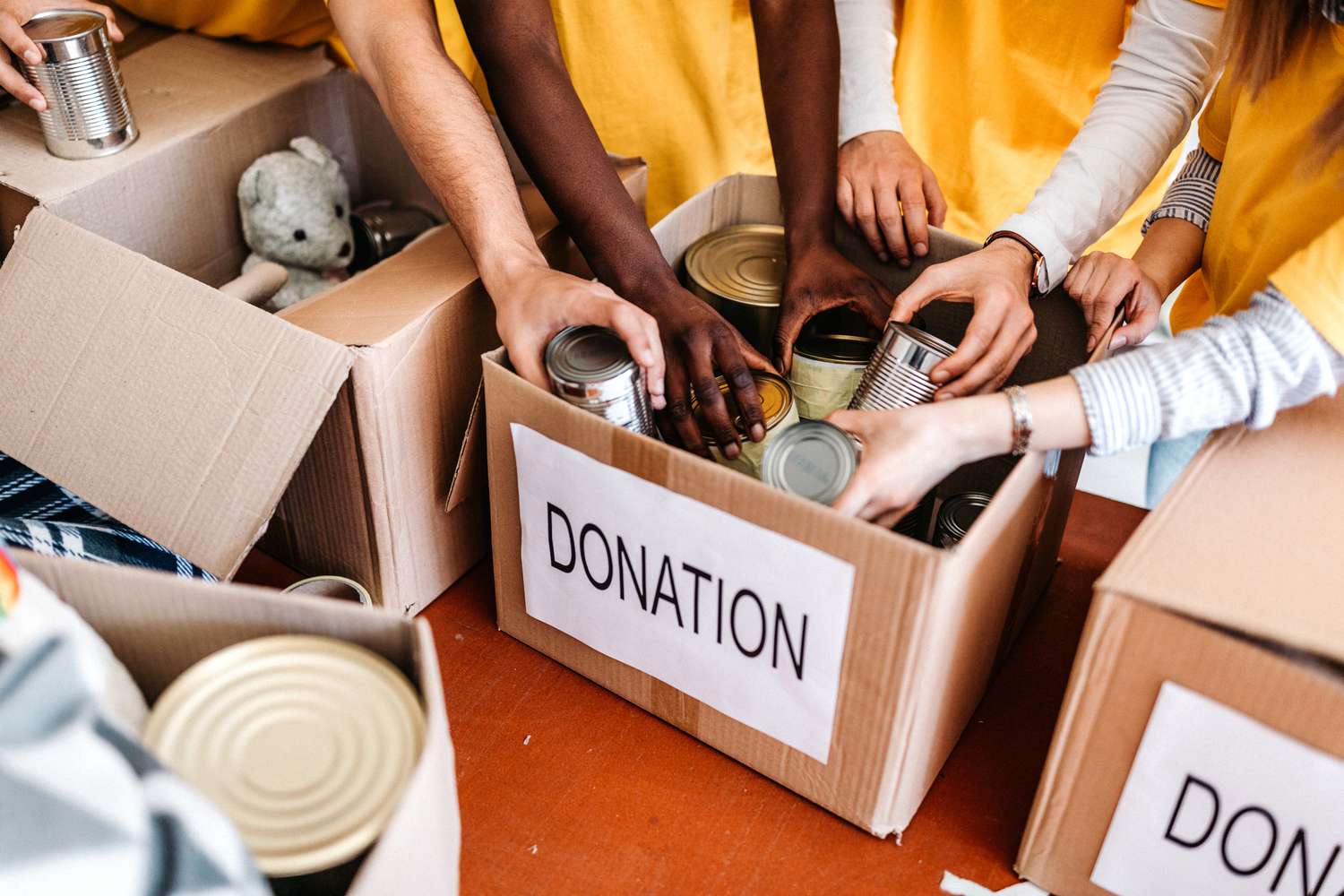 Donation & Gratitude